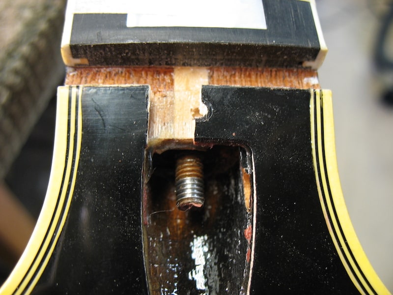 Chipped at the truss rod nut cavity